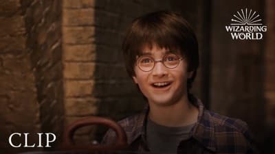 Harry Potter — Platform 9¾